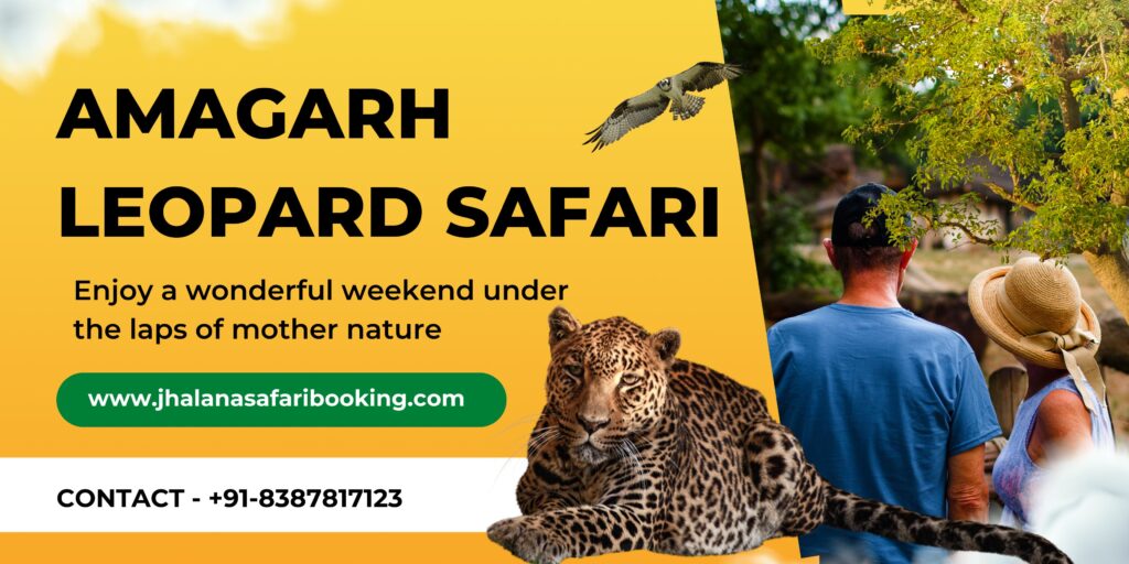 jhalana leopard safari park official website