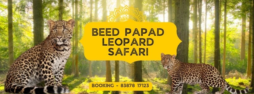 Beed Papad Leopard Safari booking